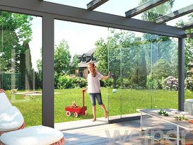 Ganzglasschiebetür W17c